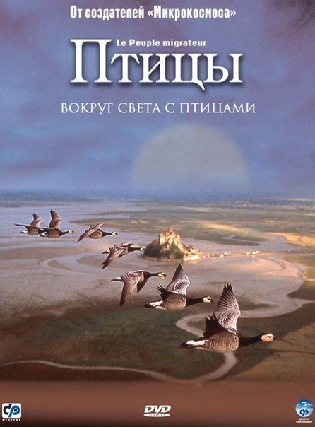 Птицы (2001) смотреть онлайн HD
