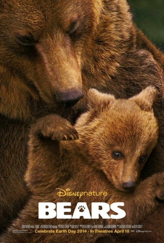 Медведи (2014) смотреть онлайн HD