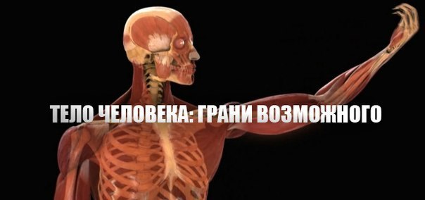 Тело человека. Грани возможного смотреть онлайн HD